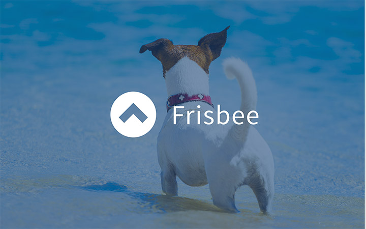 Frisbee